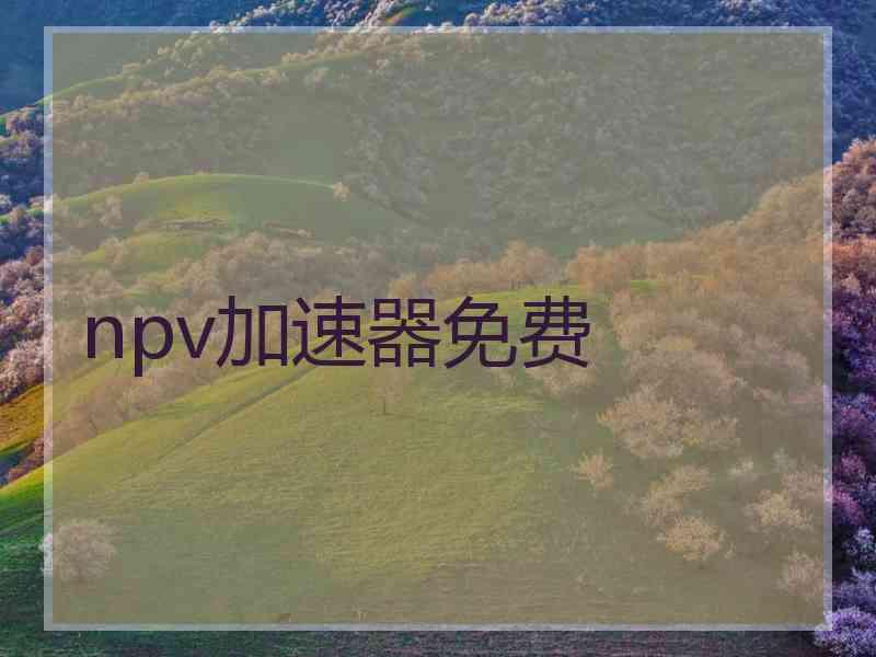 npv加速器免费