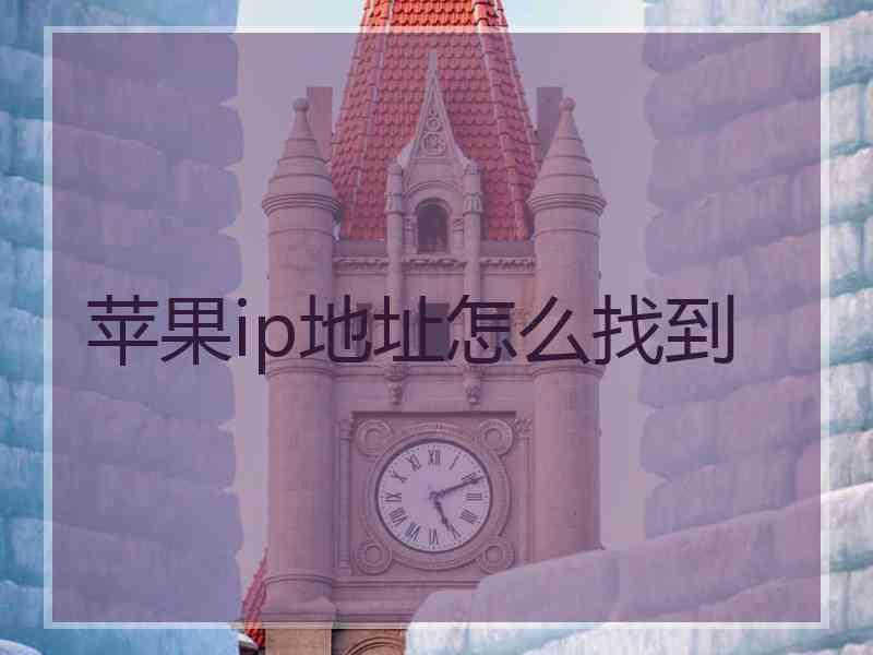 苹果ip地址怎么找到