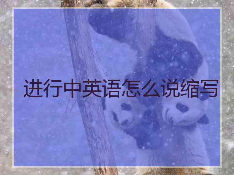 进行中英语怎么说缩写