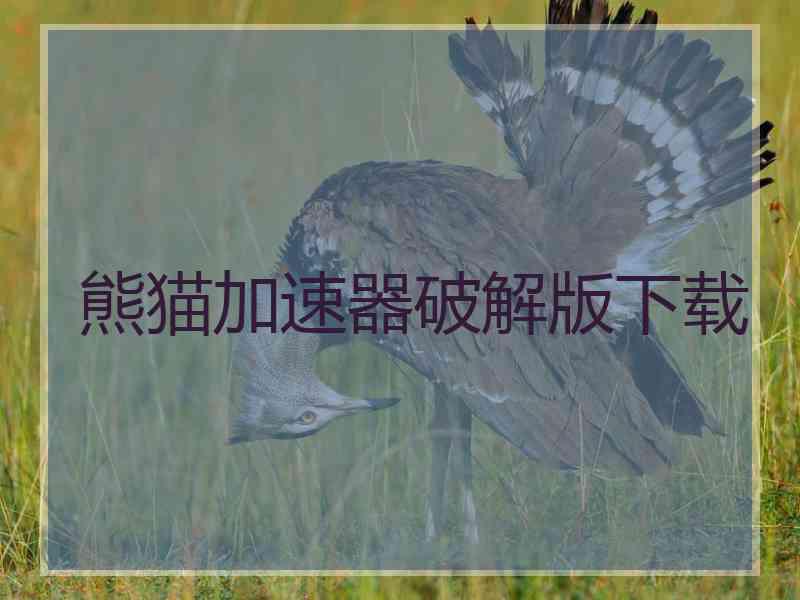熊猫加速器破解版下载