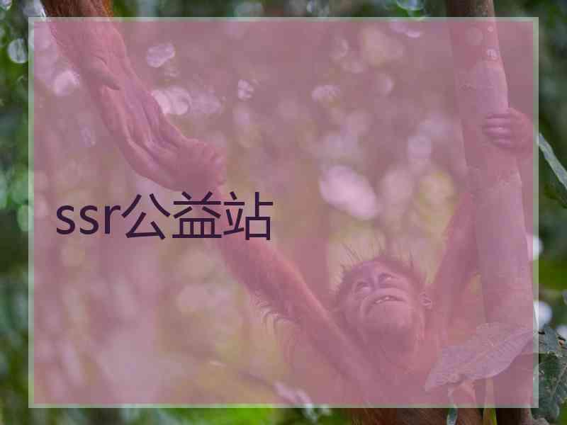 ssr公益站