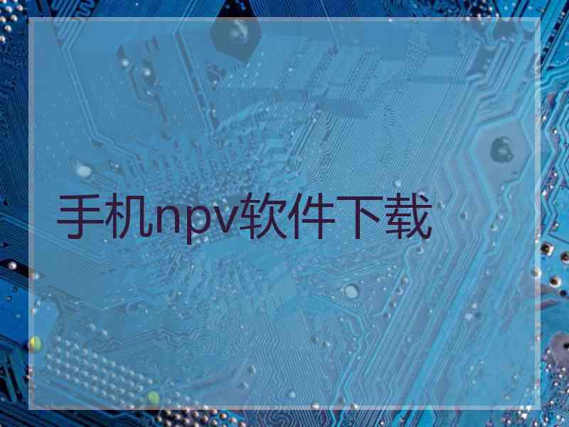 手机npv软件下载