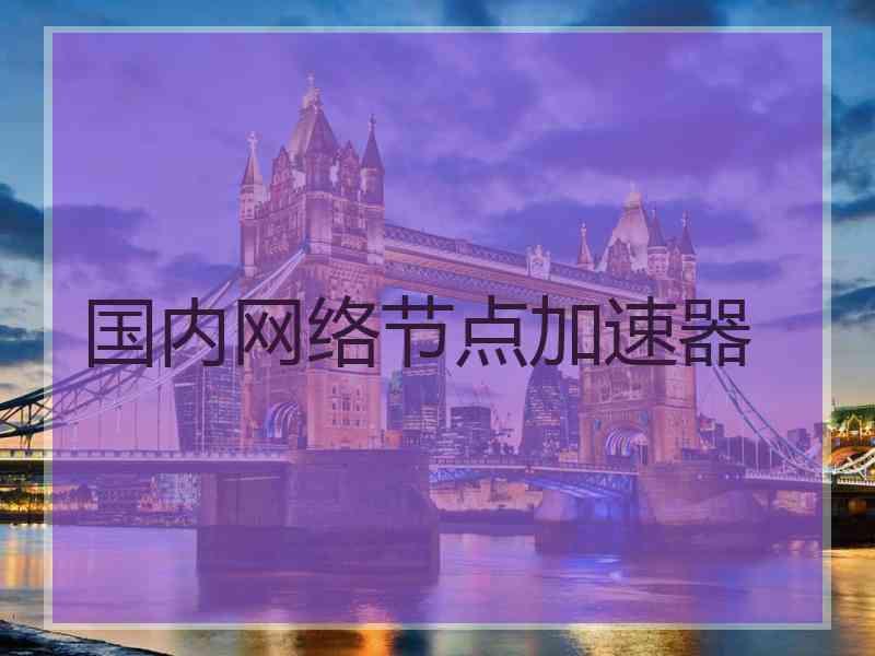 国内网络节点加速器