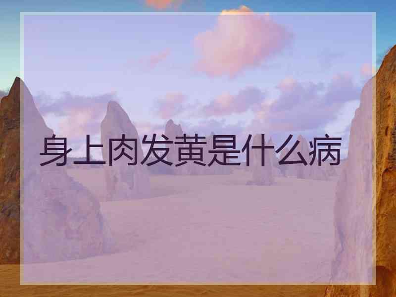 身上肉发黄是什么病