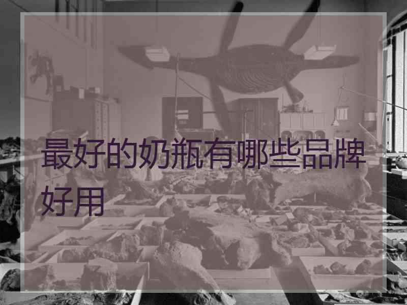 最好的奶瓶有哪些品牌好用