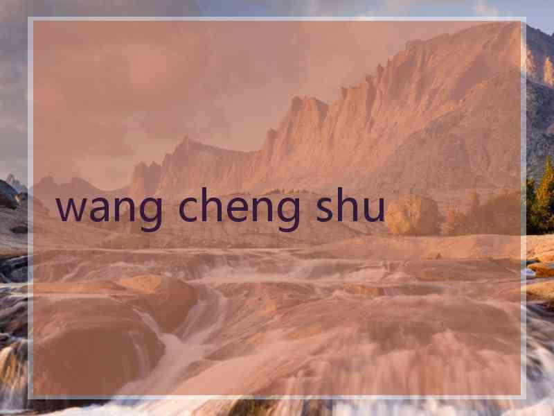 wang cheng shu