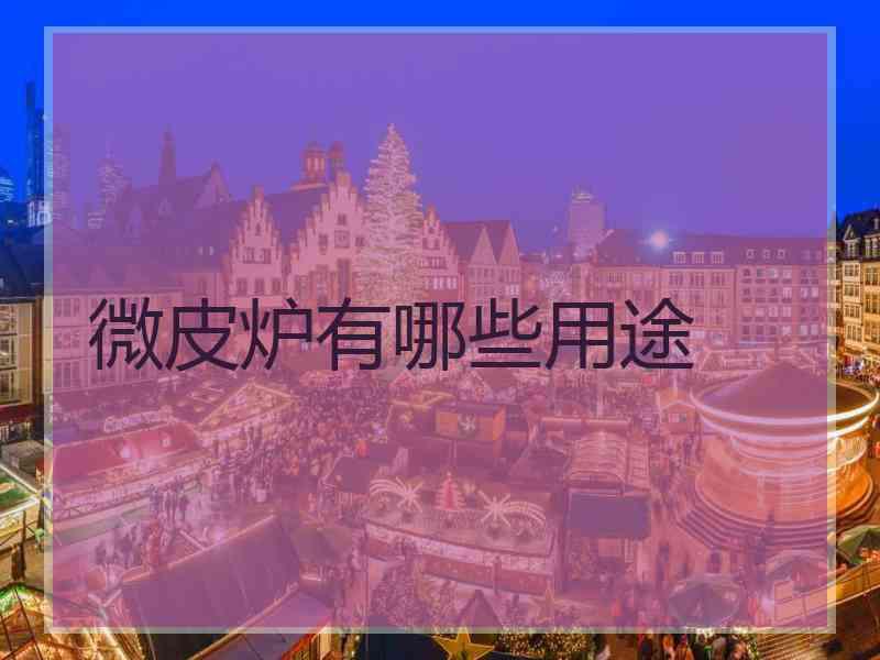 微皮炉有哪些用途