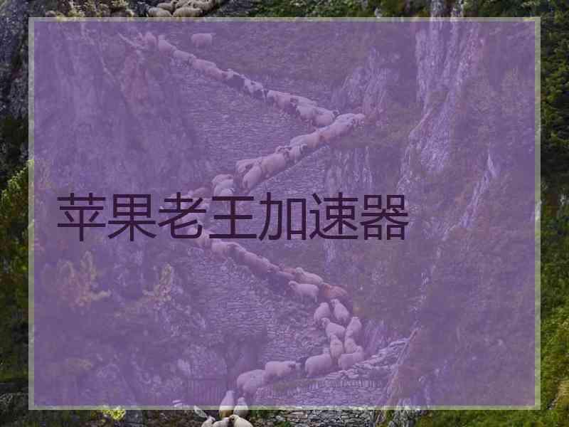 苹果老王加速器
