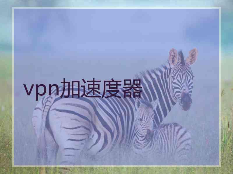 vpn加速度器