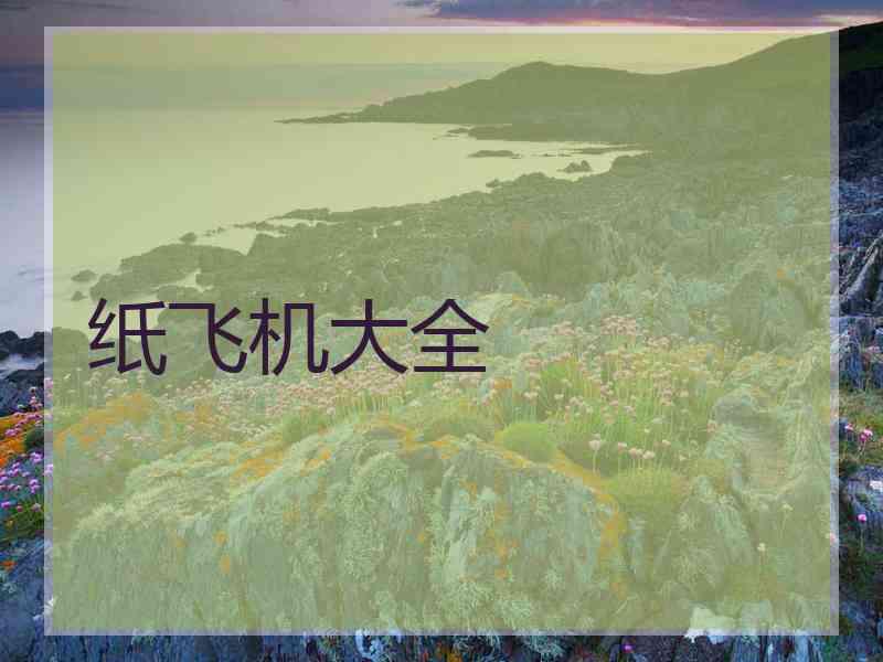 纸飞机大全
