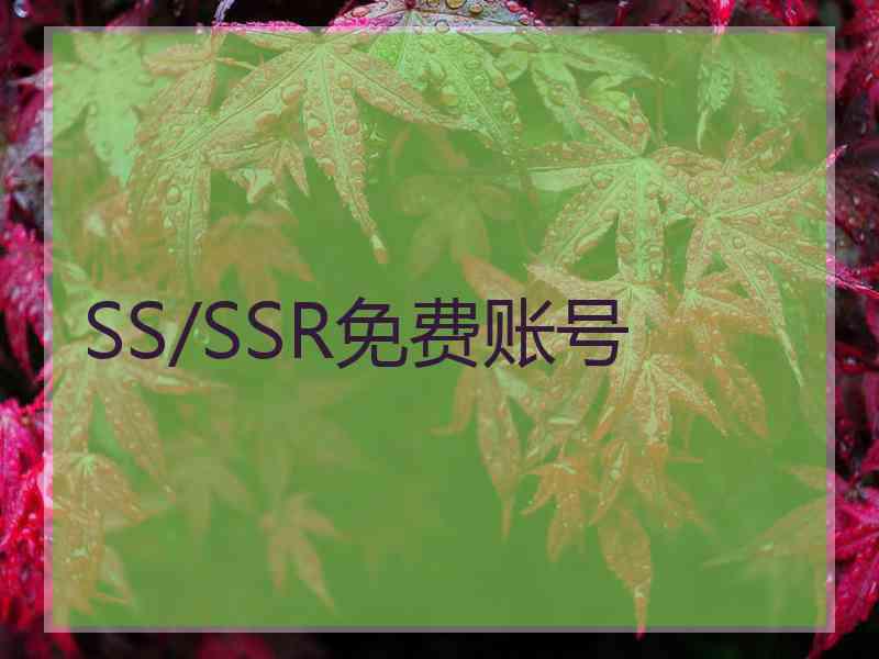 SS/SSR免费账号