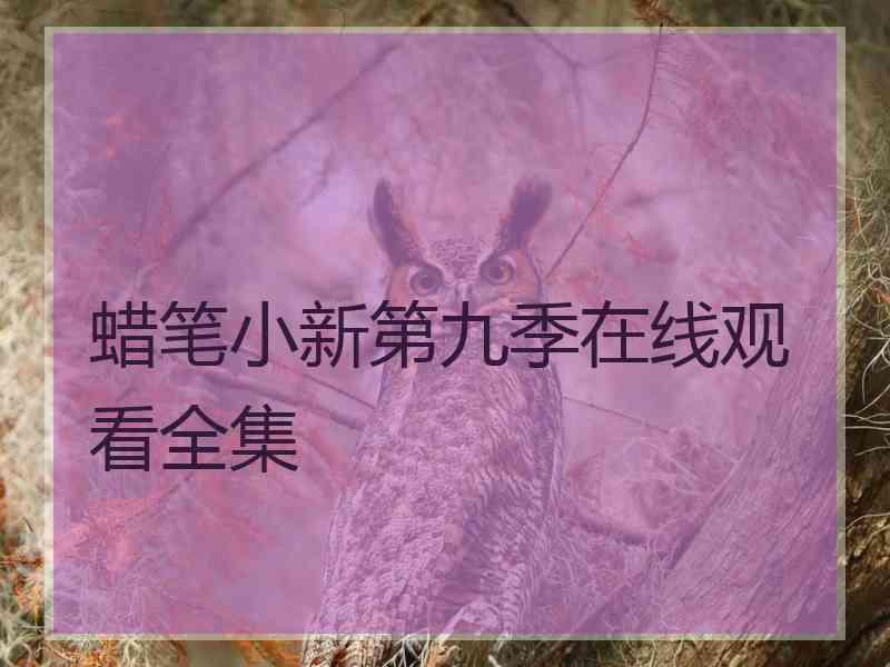 蜡笔小新第九季在线观看全集
