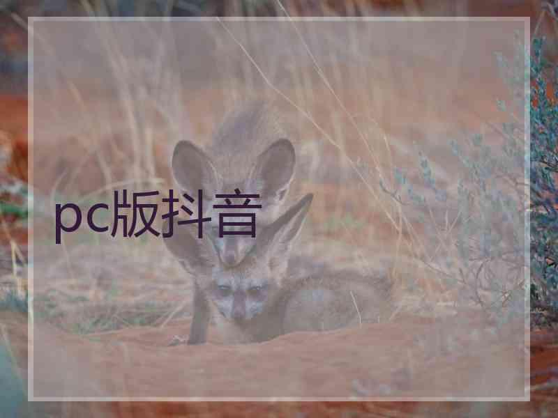 pc版抖音