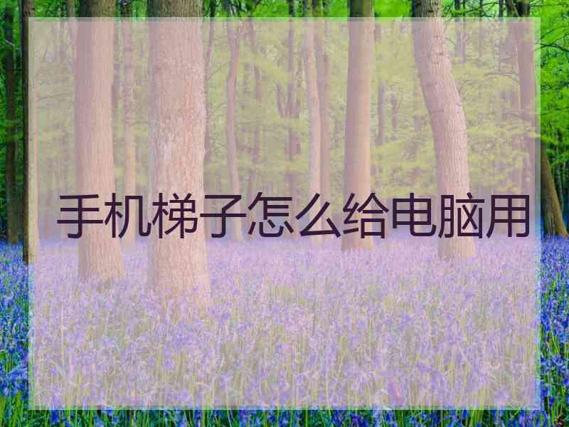手机梯子怎么给电脑用