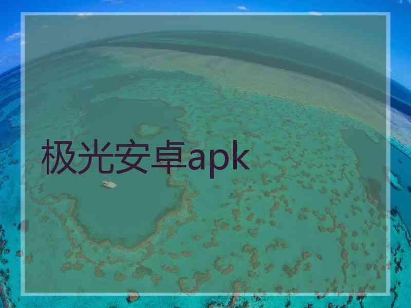极光安卓apk