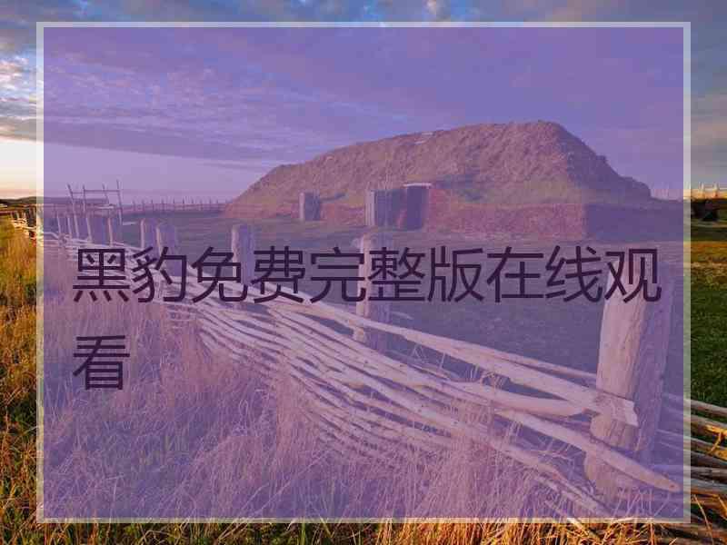 黑豹免费完整版在线观看