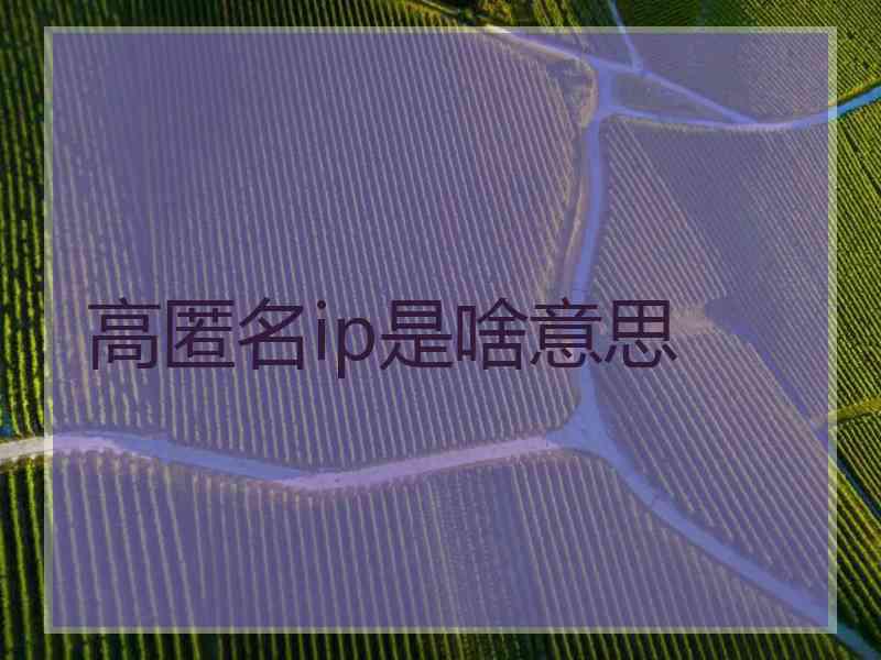 高匿名ip是啥意思