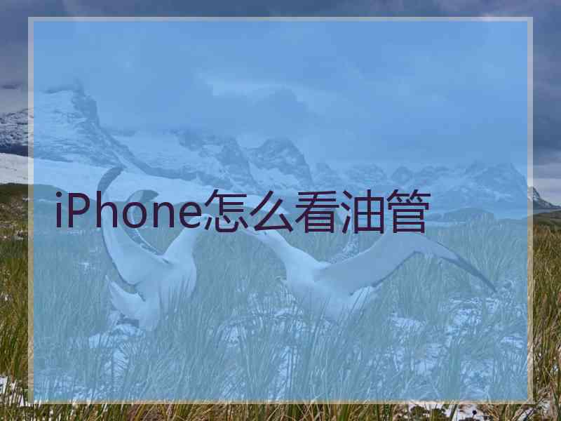 iPhone怎么看油管