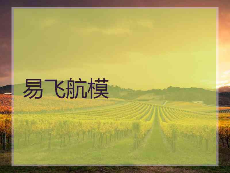 易飞航模