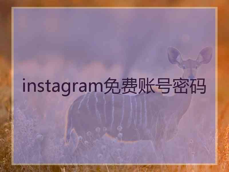 instagram免费账号密码