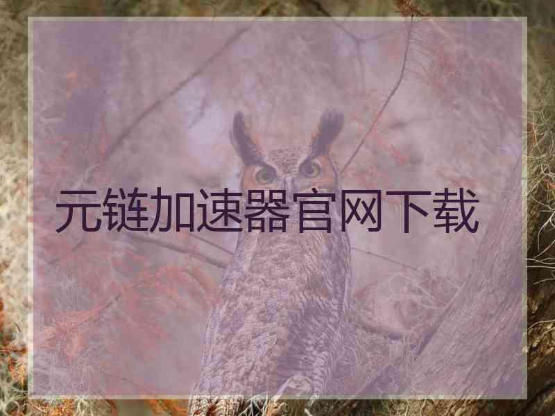 元链加速器官网下载