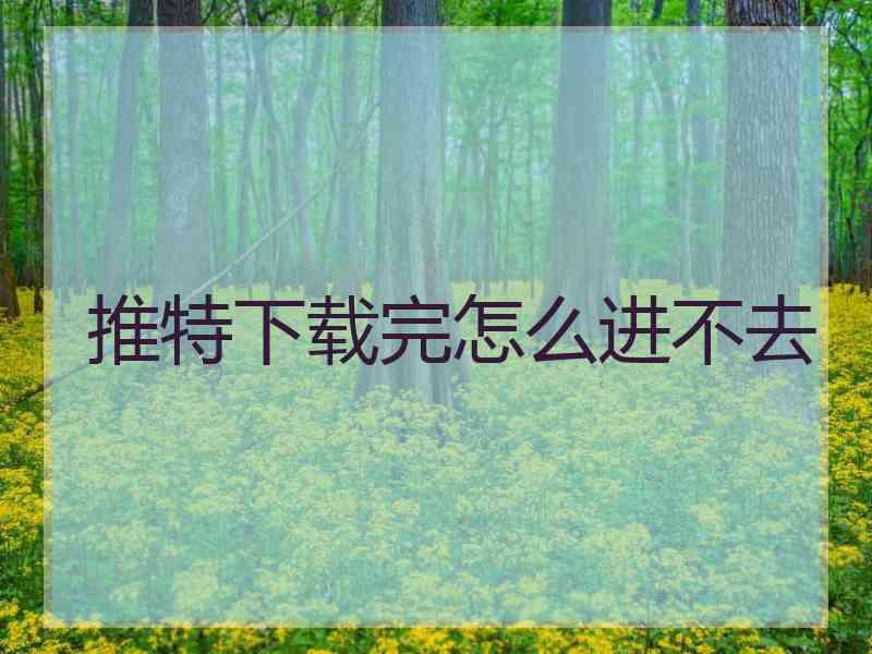 推特下载完怎么进不去