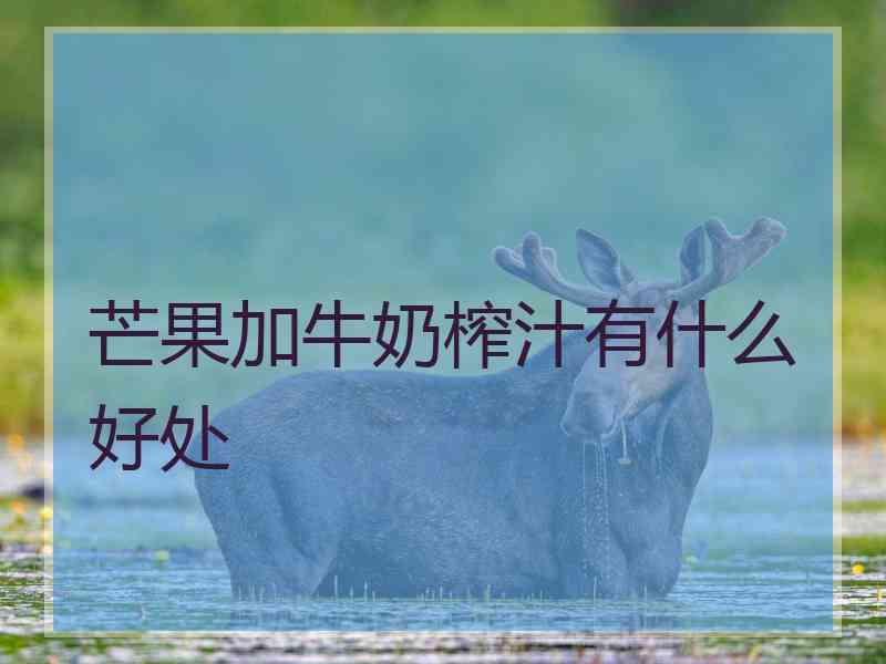 芒果加牛奶榨汁有什么好处