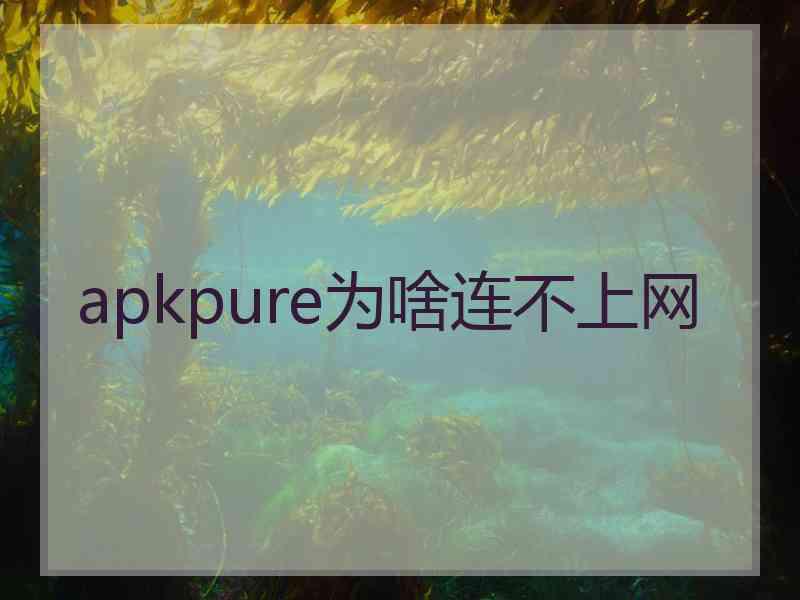 apkpure为啥连不上网