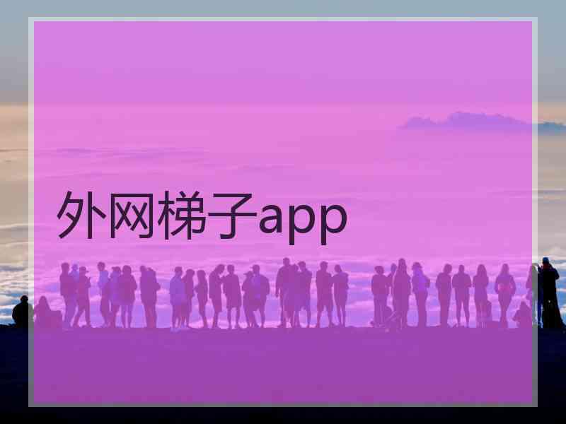 外网梯子app