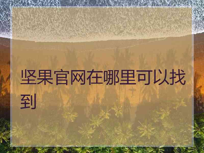 坚果官网在哪里可以找到
