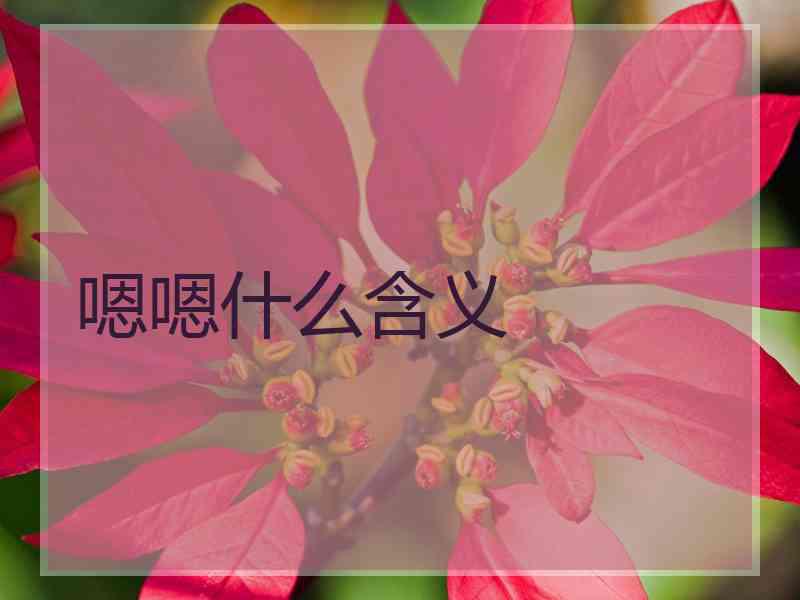 嗯嗯什么含义