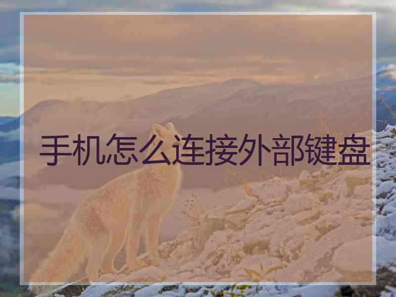 手机怎么连接外部键盘