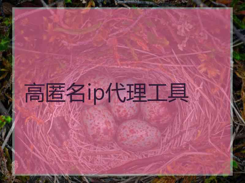高匿名ip代理工具