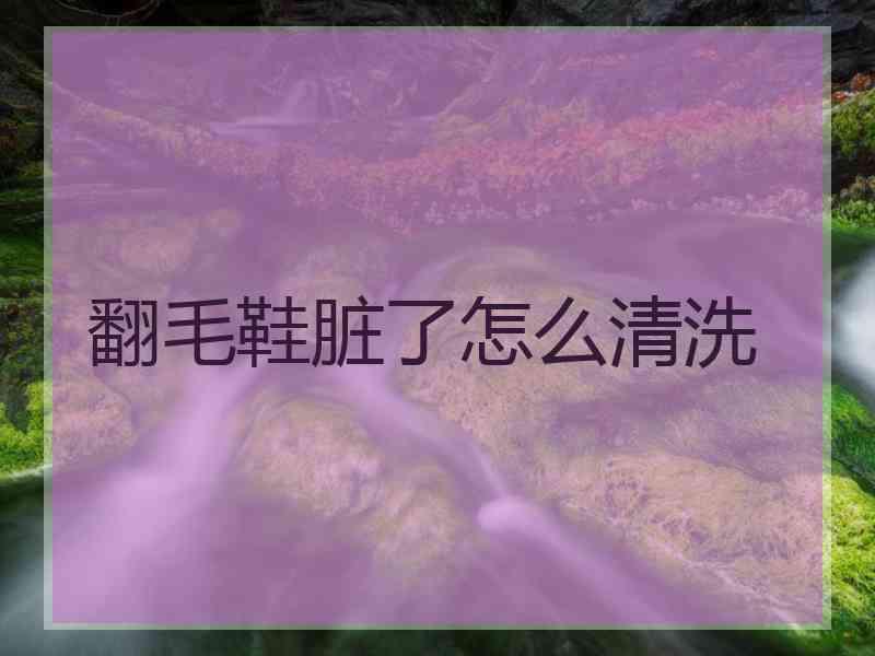 翻毛鞋脏了怎么清洗