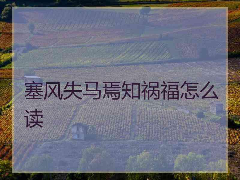 塞风失马焉知祸福怎么读