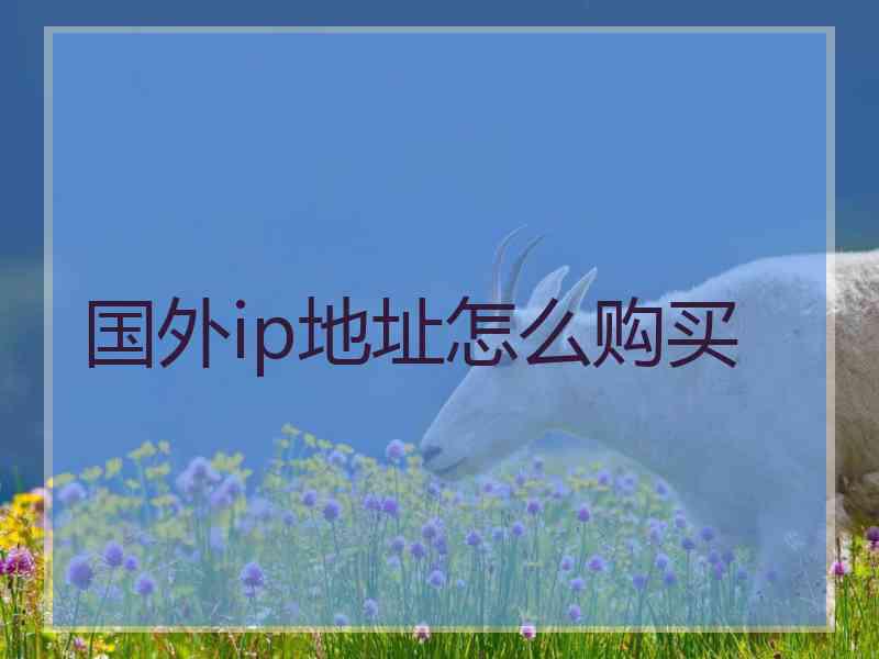 国外ip地址怎么购买