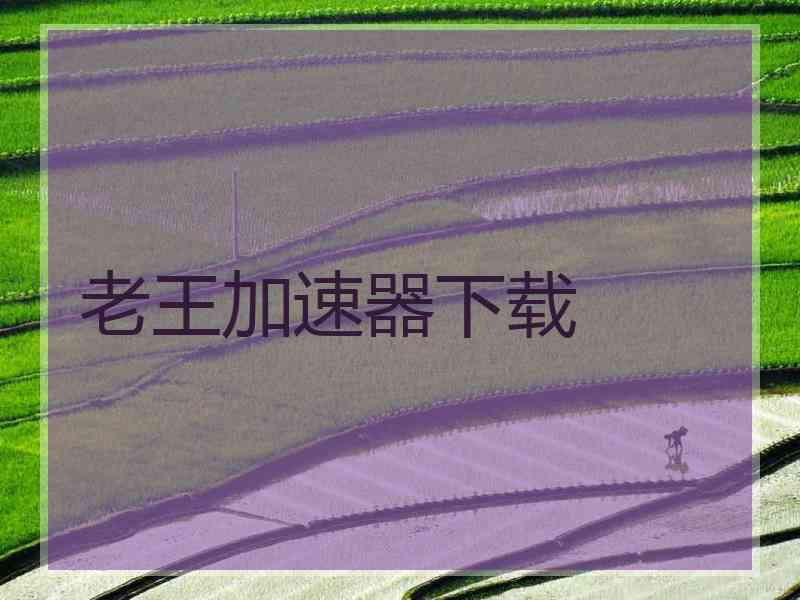 老王加速器下载