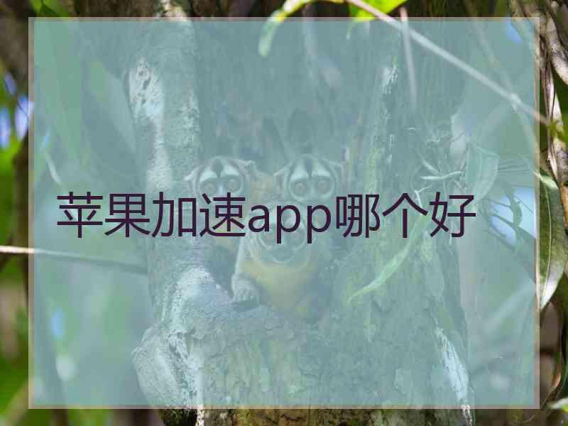 苹果加速app哪个好