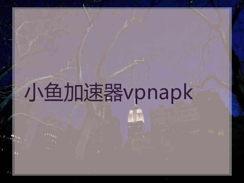 小鱼加速器vpnapk