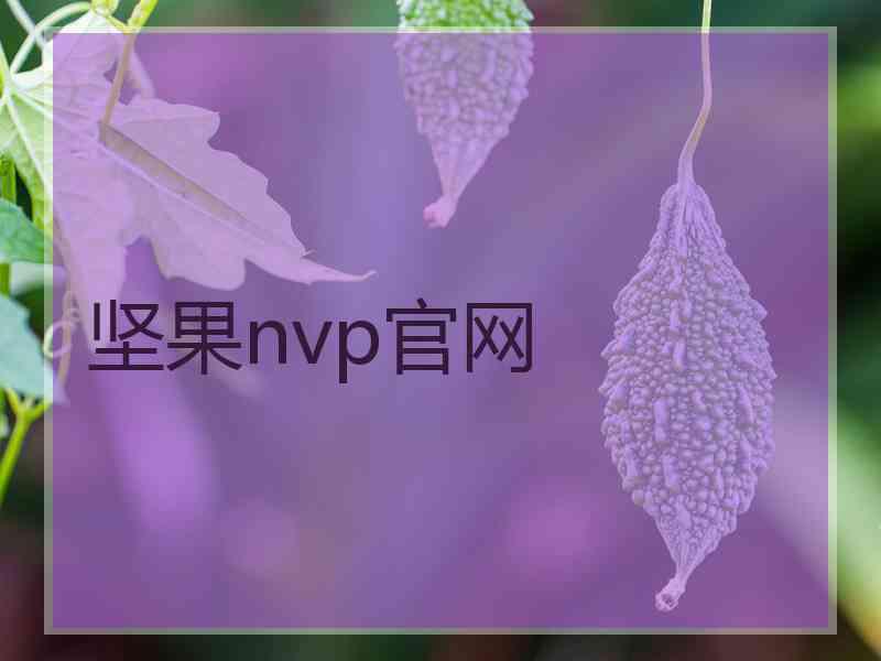 坚果nvp官网
