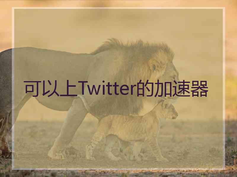 可以上Twitter的加速器