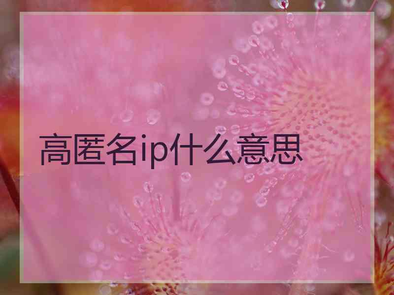 高匿名ip什么意思