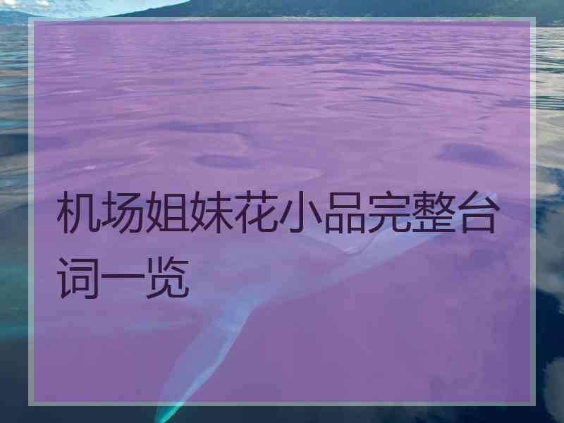 机场姐妹花小品完整台词一览