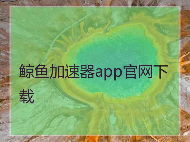 鲸鱼加速器app官网下载