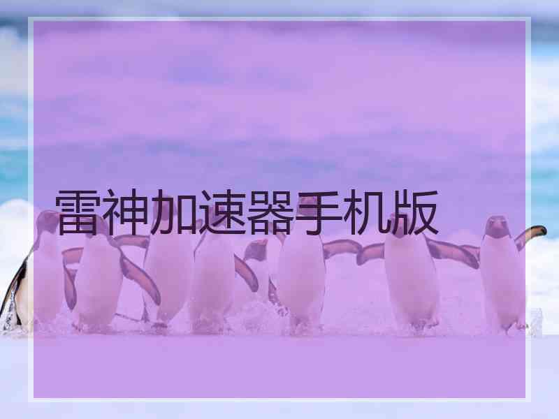 雷神加速器手机版