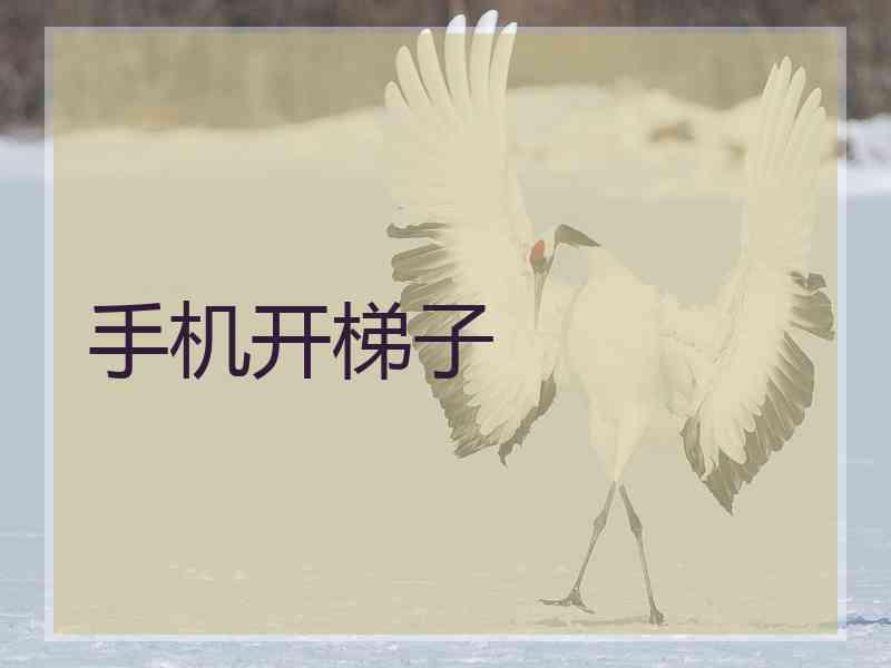 手机开梯子