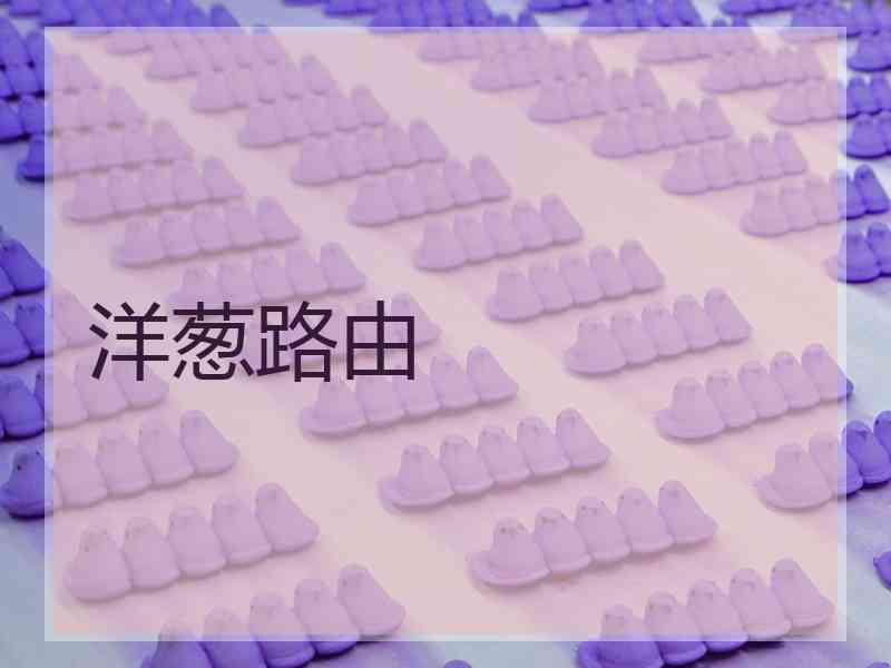 洋葱路由