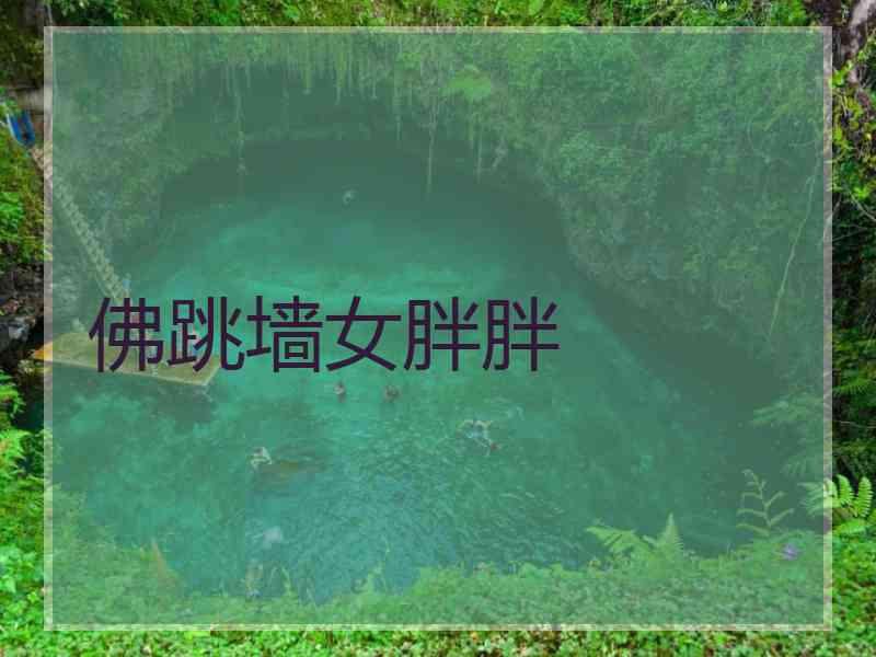 佛跳墙女胖胖