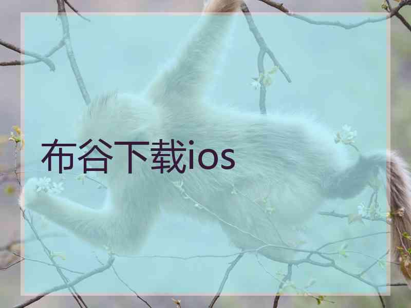 布谷下载ios