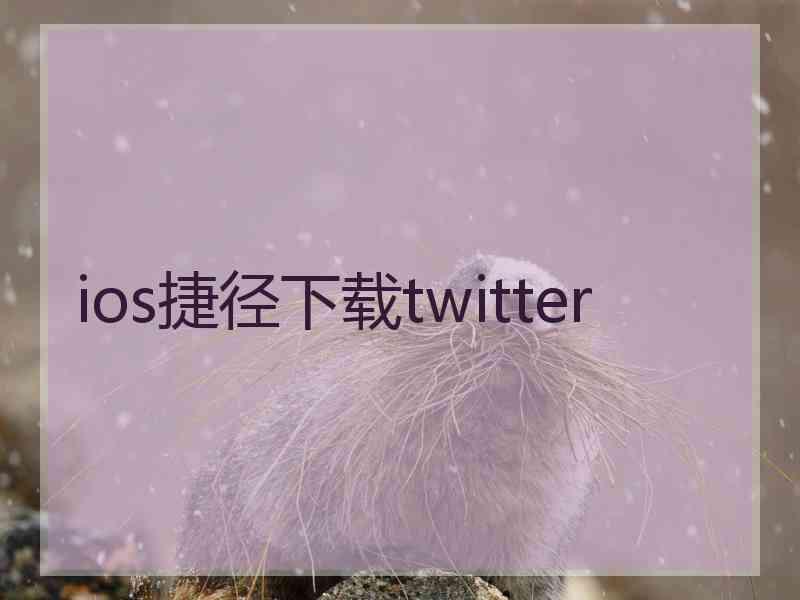 ios捷径下载twitter